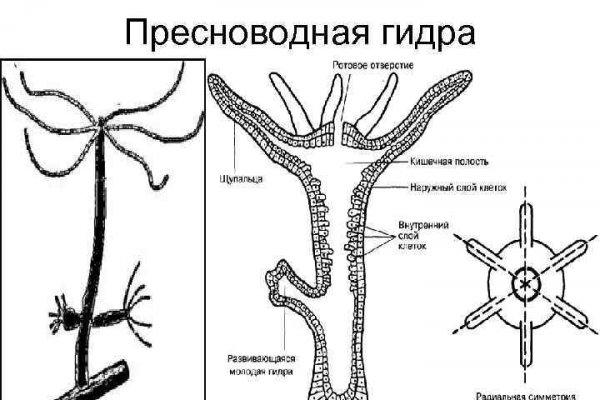 Кракен ссылка на сайт com