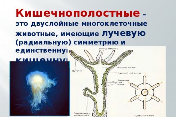 Как оплатить заказ в кракене