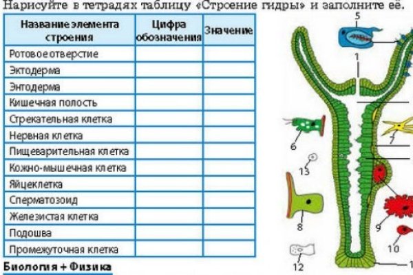 Магазин кракен даркнет сайт