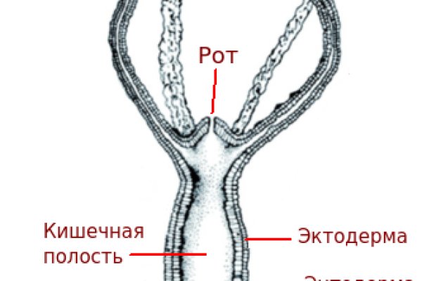 Как попасть на кракен